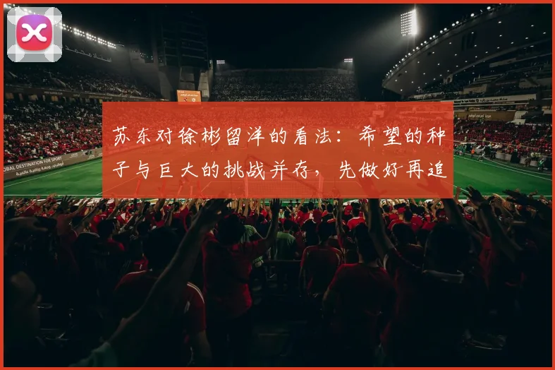 苏东对徐彬留洋的看法：希望的种子与巨大的挑战并存，先做好再追求完美