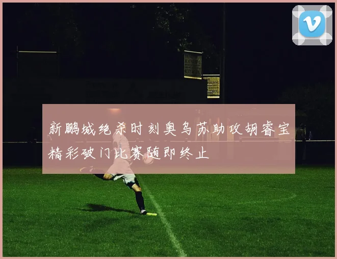 新鹏城绝杀时刻奥乌苏助攻胡睿宝精彩破门比赛随即终止